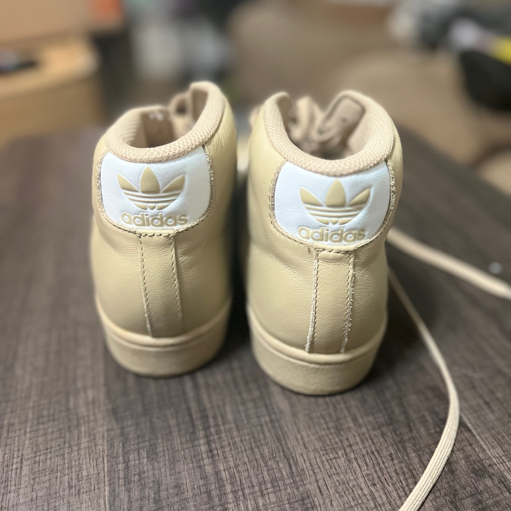 Adidas Pro Model shoes